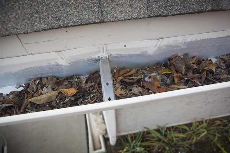 Clogged White Gutter with Leaves and Debris - K-Guard St. Louis